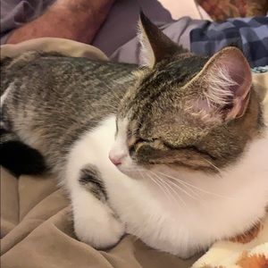 Meet your Posher, Sherry